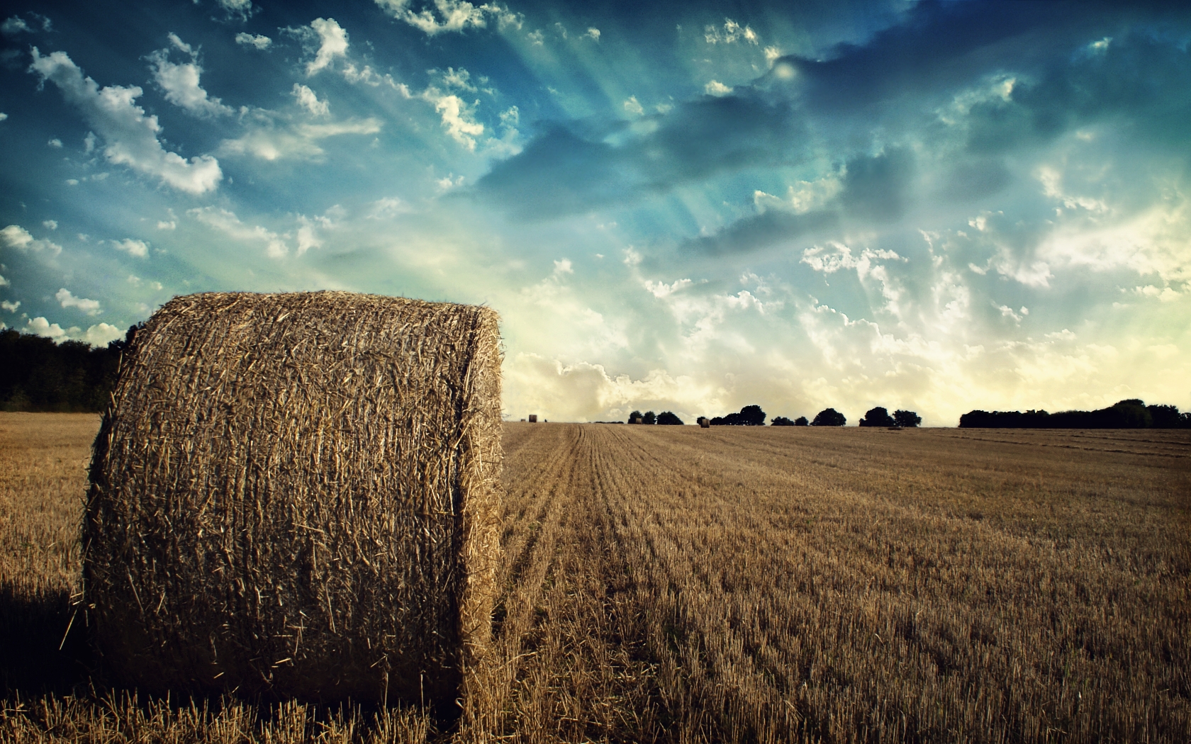 Nachhaltige Landwirtschaft