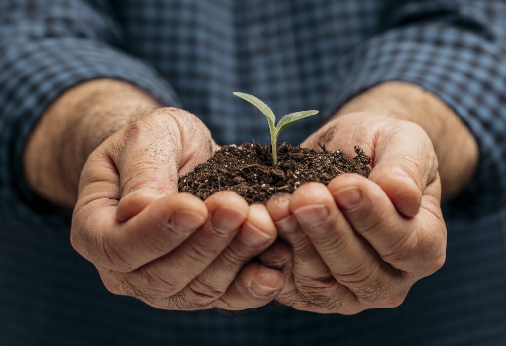 Abonos y planta